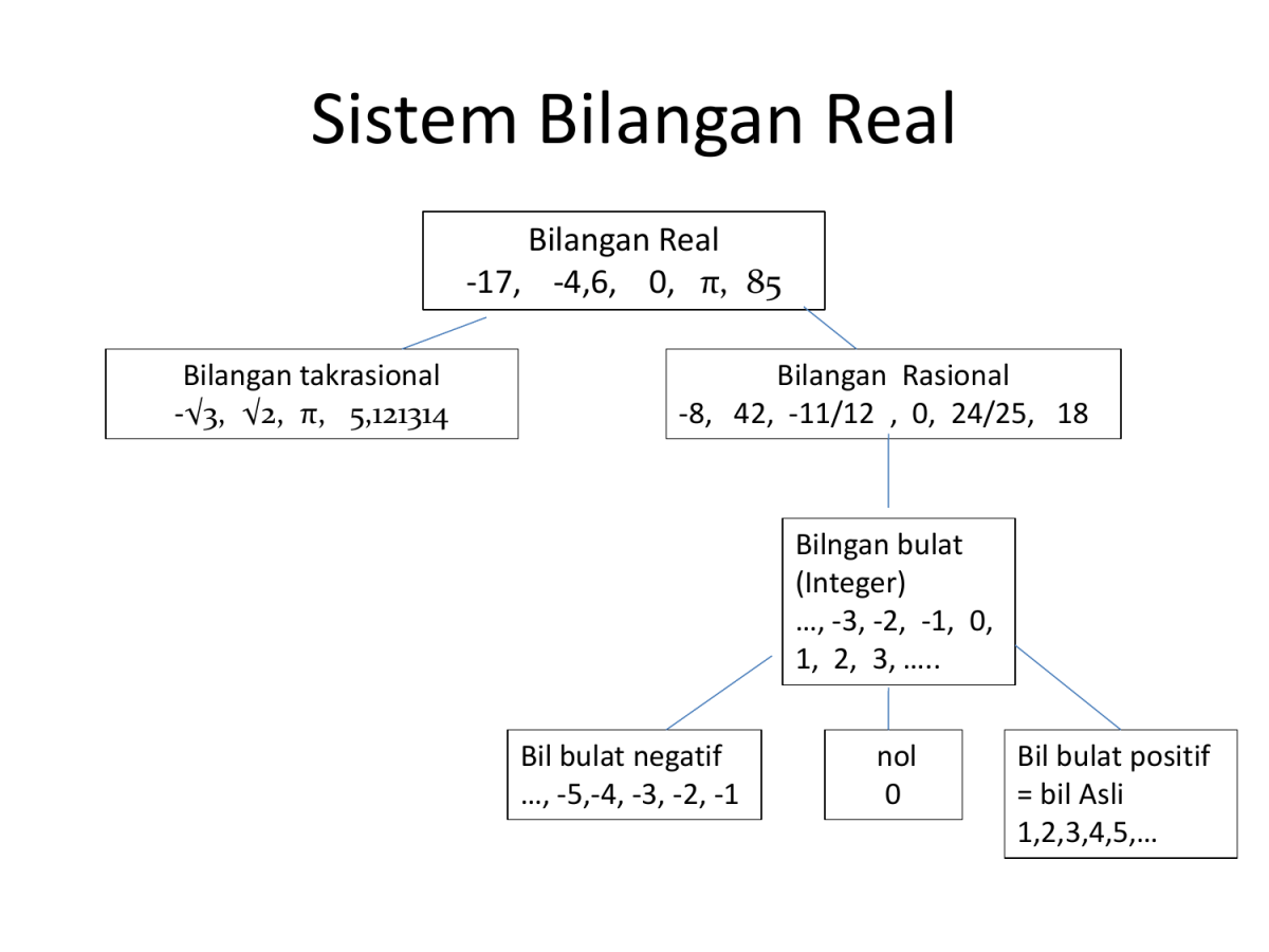 Pengertian Bilangan Real Positif dan Contohnya