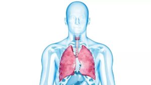 Perubahan Paru‑paru Saat Menghembuskan Nafas