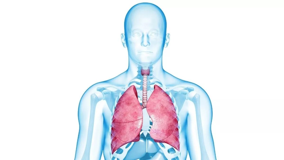 Perubahan Paru‑paru Saat Menghembuskan Nafas