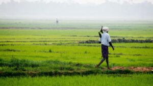 Jenis Pekerjaan di Bidang Pertanian