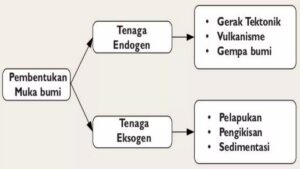 Penyebab keanekaragaman permukaan bumi