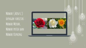 Keanekaragaman Tingkat Gen adalah yang Terendah