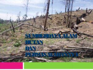 Kewajiban Warga Sekitar Hutan Terhadap Sumber Daya Alam