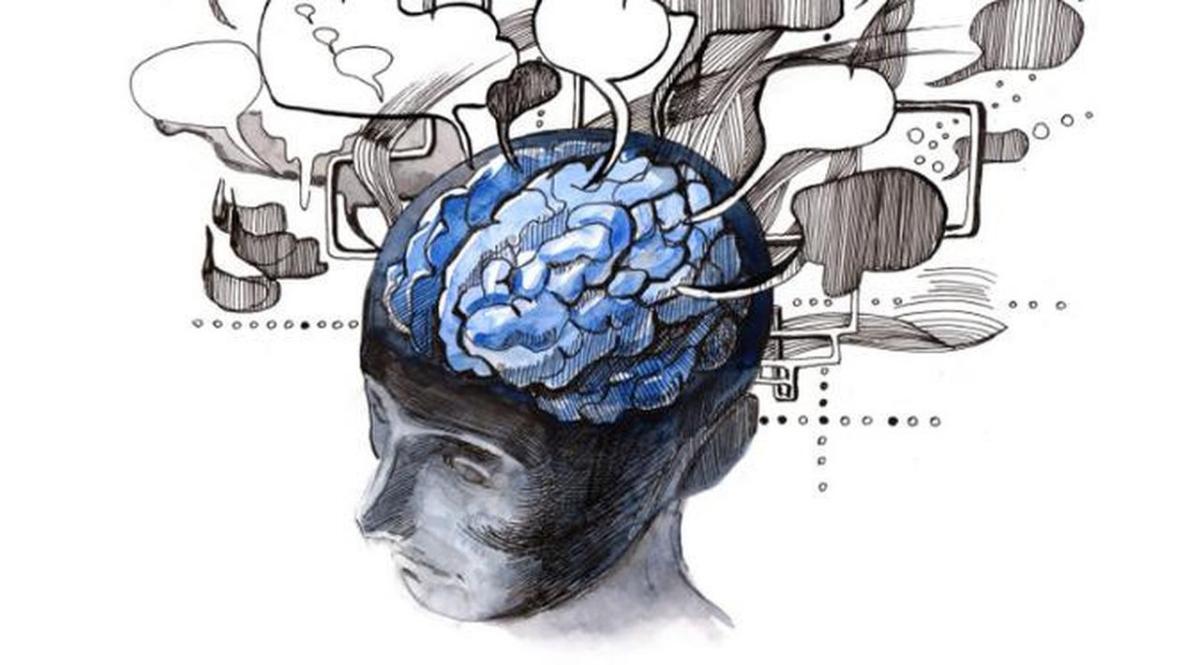 Manusia Memiliki Dua Otak dengan Fungsi Masing‑Masing