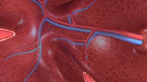 Sifat Pembuluh Nadi atau Arteri