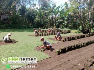 Biaya Penanaman Rumput di Taman Lingkaran dengan Kolam