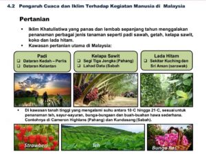 Pengaruh Iklim Tropis Terhadap Pertumbuhan Ekonomi