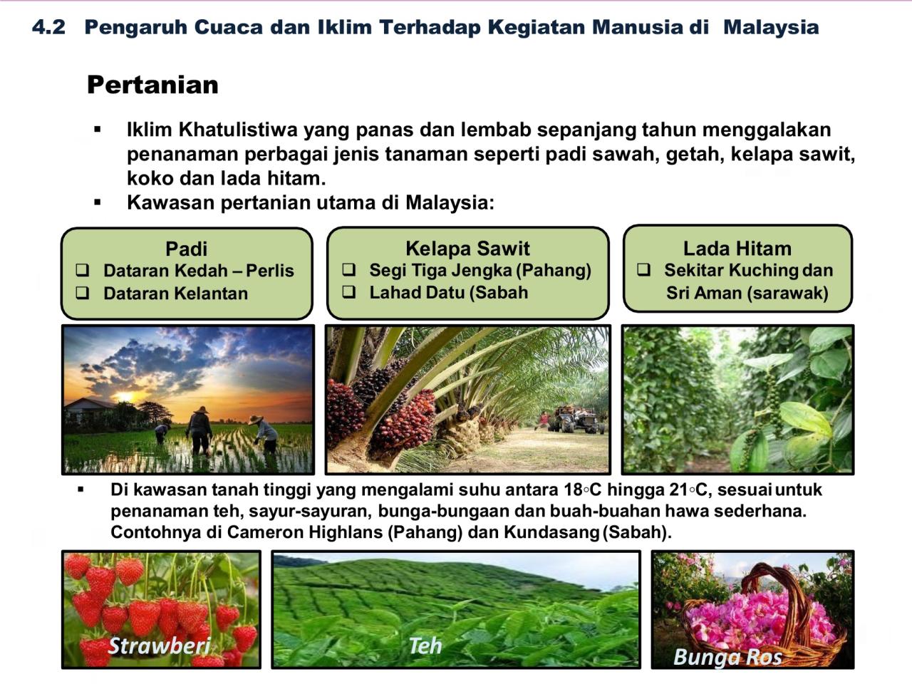 Pengaruh Iklim Tropis Terhadap Pertumbuhan Ekonomi