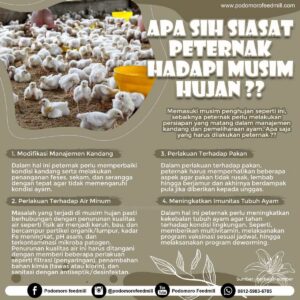 Hitung lama persediaan pakan ayam dan nilai tabungan setelah 9 bulan