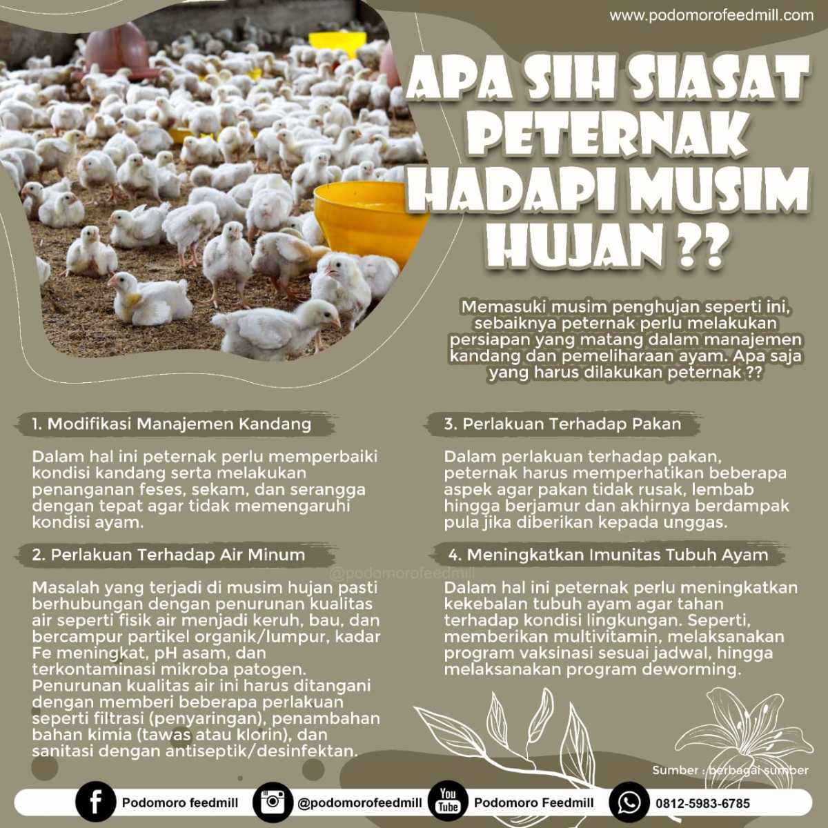Hitung lama persediaan pakan ayam dan nilai tabungan setelah 9 bulan