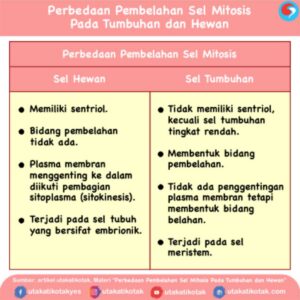 Perbedaan Osmosis pada Hewan dan Tumbuhan
