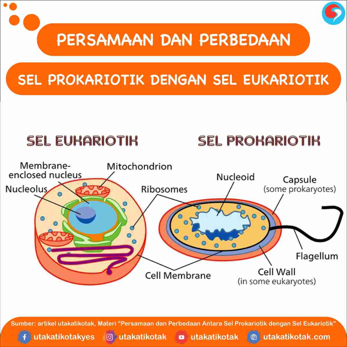 Perbedaan Eukariota–Prokariota, Multiseluler–Uniseluler, Autotrof–Heterotrof