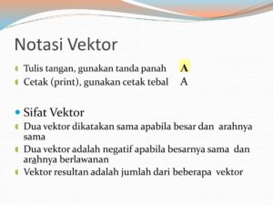 Mengapa Dua Vektor Dikatakan Sama atau Berlawanan