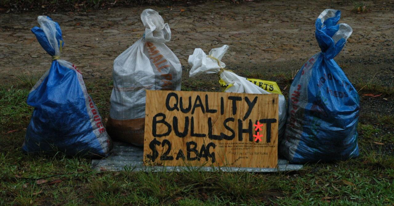 Arti Bullshit dalam Bahasa Indonesia