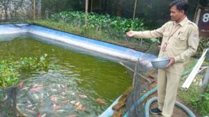 Waktu Penyelesaian Pekerjaan Kolam Ikan oleh Andi dan Soni