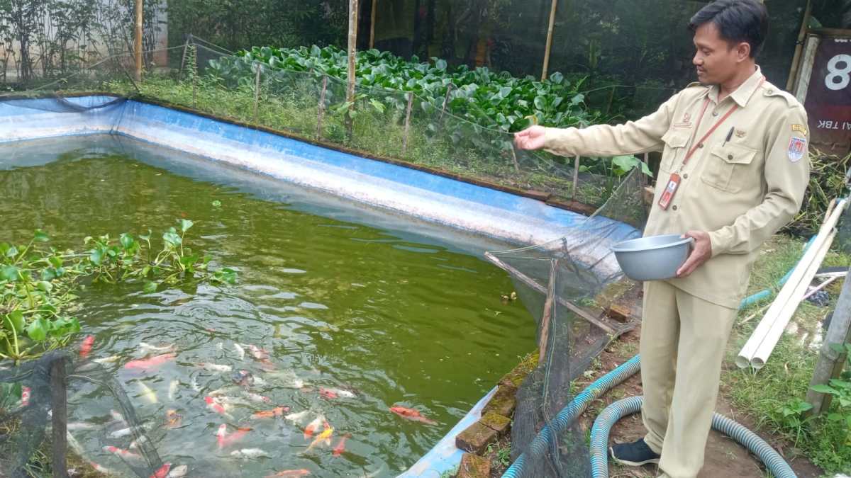 Waktu Penyelesaian Pekerjaan Kolam Ikan oleh Andi dan Soni