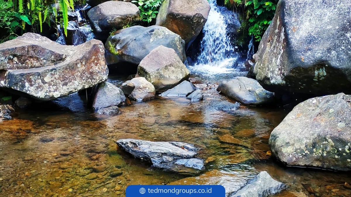 Bagaimana cara membedakan sumber air dan arus air