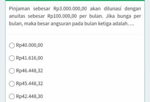 Anuitas dan Sisa Pinjaman Diana 30 Juta 5 Tahun 2%