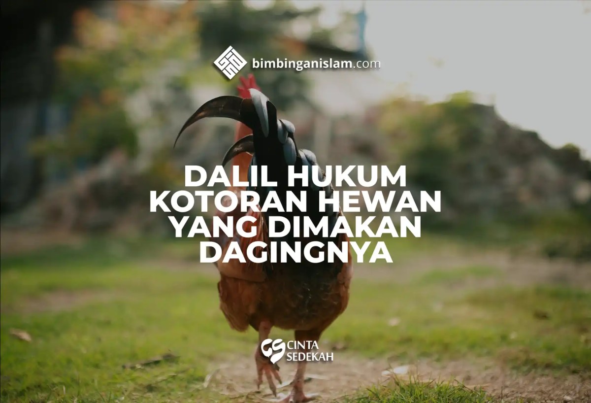 Dalil Naqli tentang Bolehnya Makan Binatang Ternak