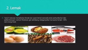 Manfaat Zat Gizi dalam Makanan bagi Tubuh