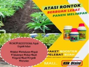 Biaya Pupuk ZA untuk Kebun Bunga Lingkaran Diameter 14 m