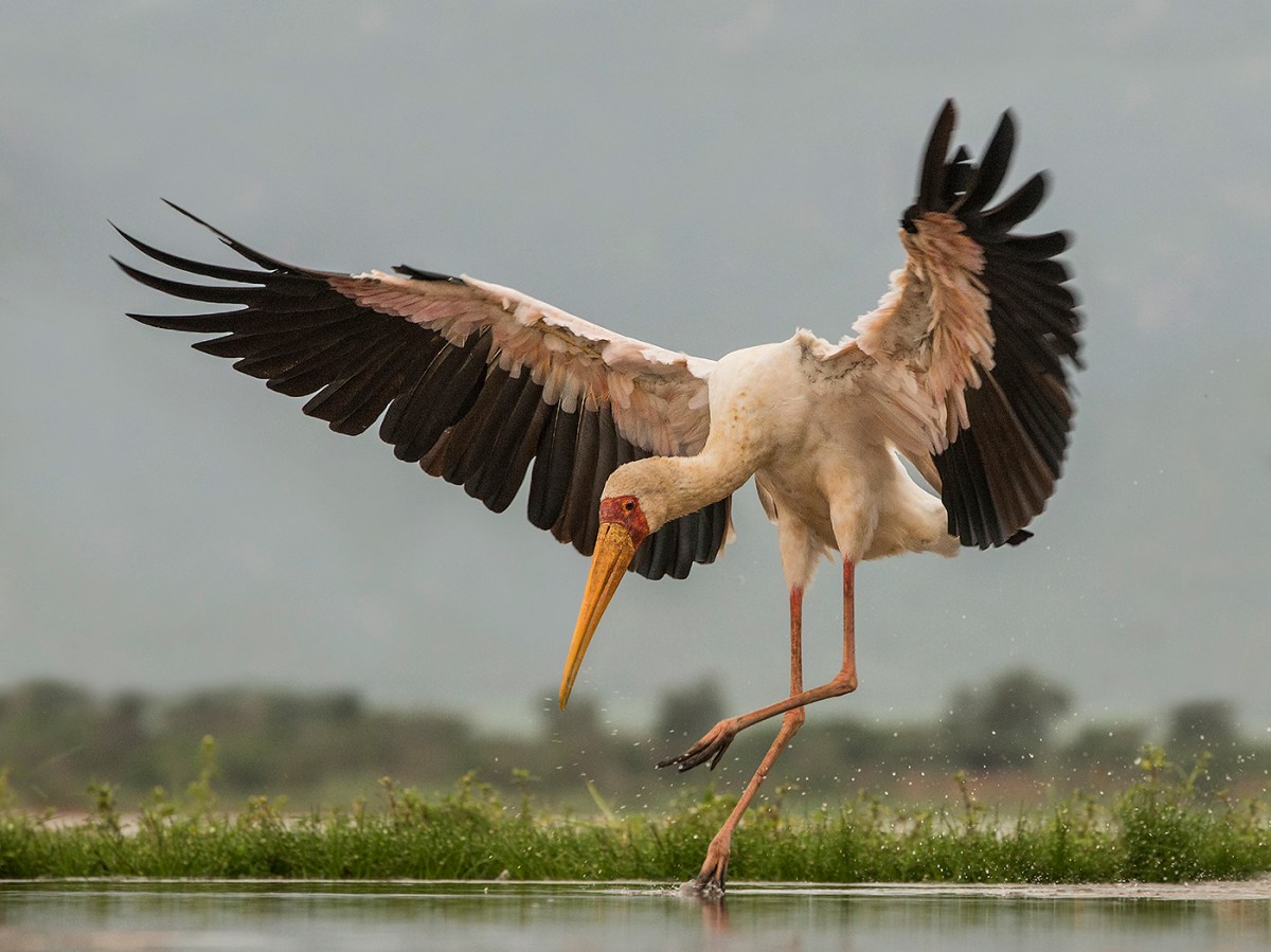 Terjemahan Bahasa Inggris Aku Lelah