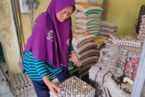 Maksud Kegiatan Ekonomi