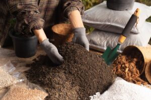 Kelebihan dan Kekurangan Media Tanam Anorganik