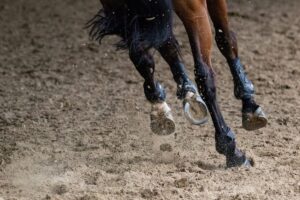Kecepatan satu kuda saat 3 kuda berlari 90 km/jam