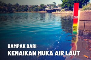 Kesimpulan Logika: Bulan Purnama vs Kenaikan Permukaan Laut