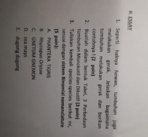 Bantu Saya, Kak, dengan Cara Ini