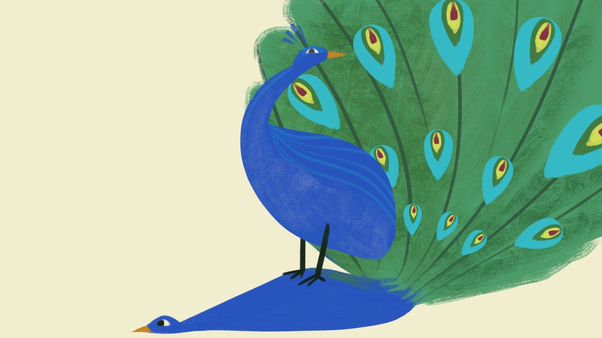 Butuh Jawaban Segera