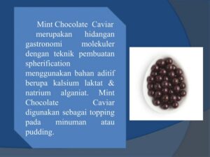 Zat Potensial Mutagenik dalam Produk Makanan