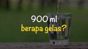 600 ml berapa gelas