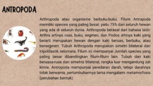 Nama Lain Hewan Berbuku