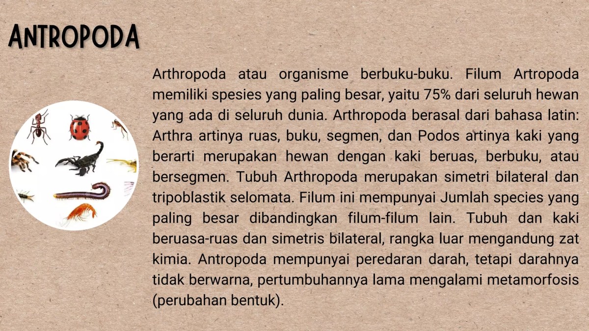 Nama Lain Hewan Berbuku