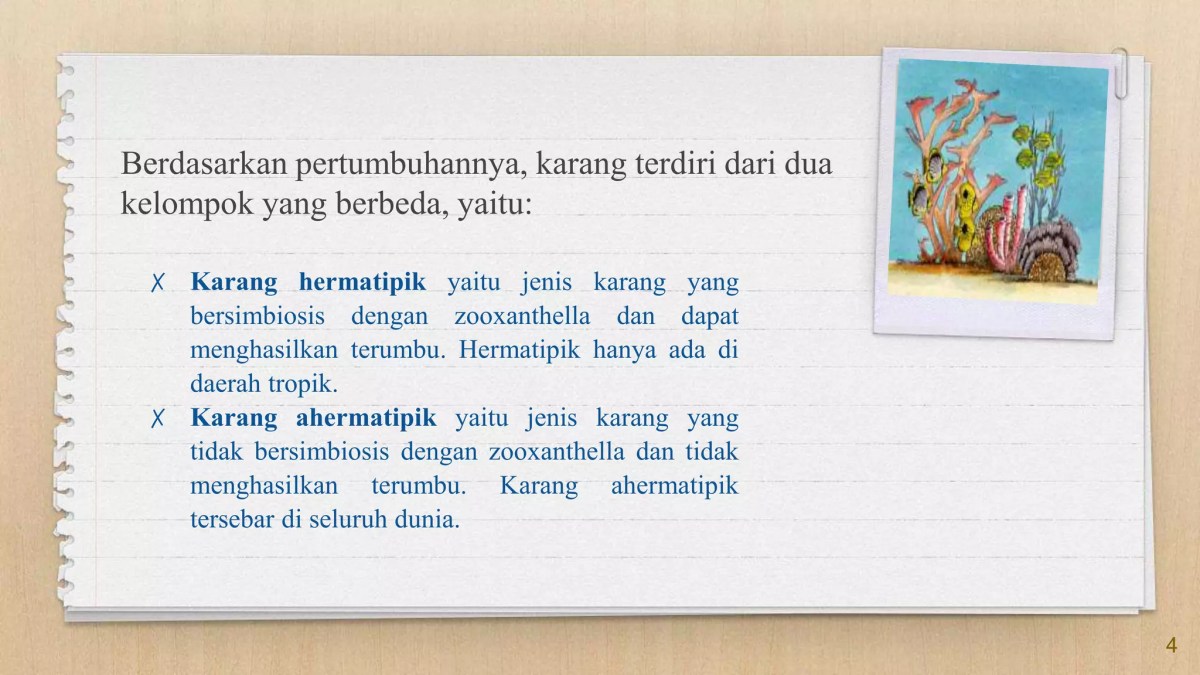 Daerah yang Menghasilkan Terumbu Karang di Indonesia