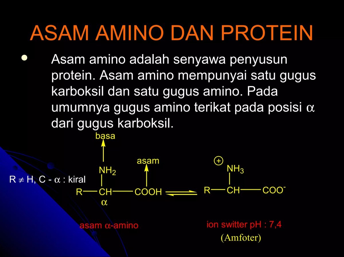 Protein bersifat amfoter: bereaksi dengan asam dan basa