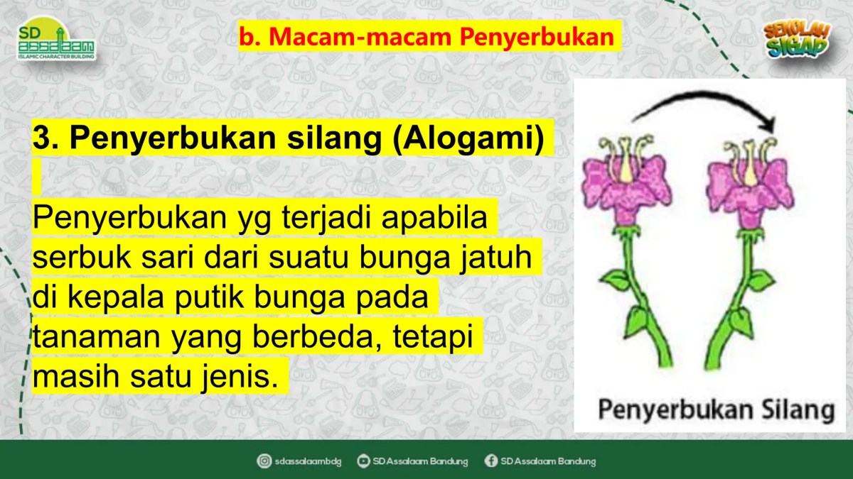 Apa itu Perkembangbiakan