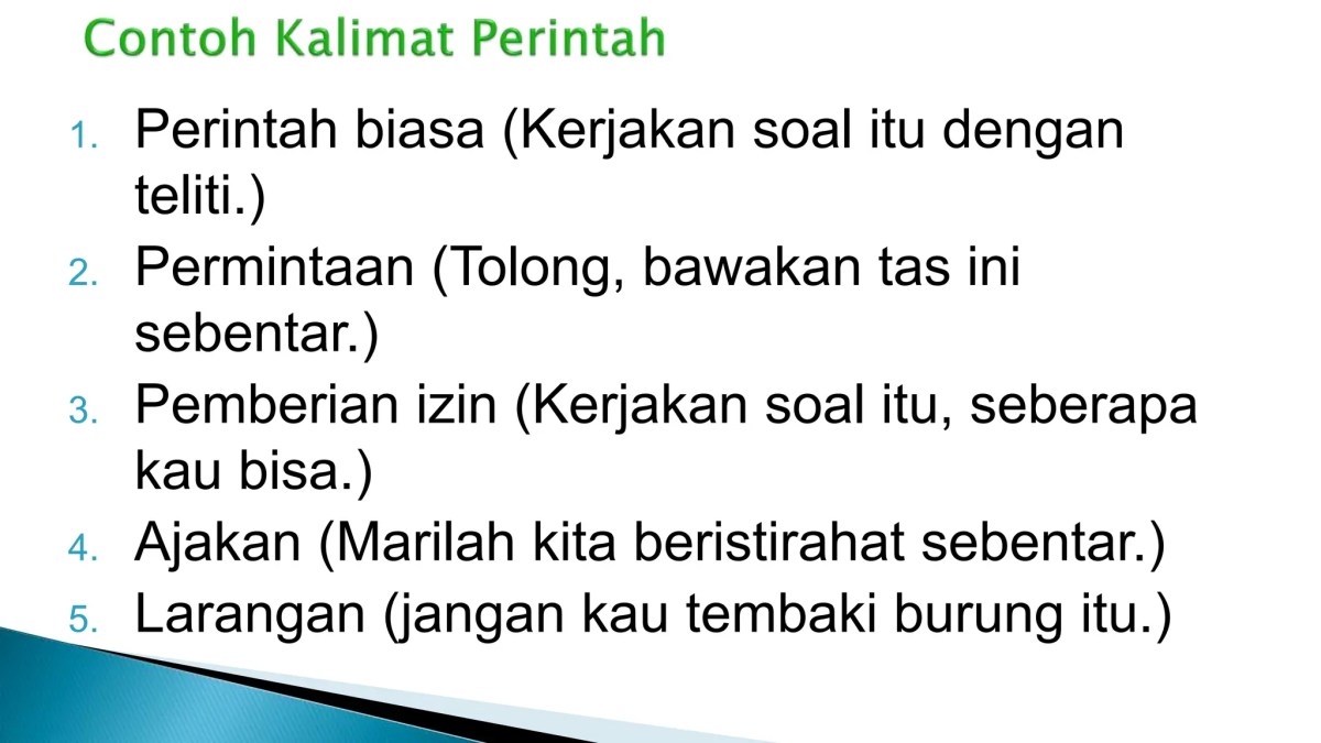 Berikan dua kalimat perintah