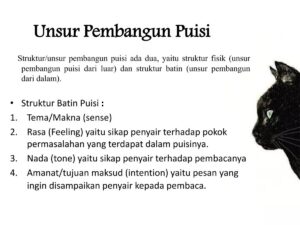Istilah pesan penyair dalam puisi