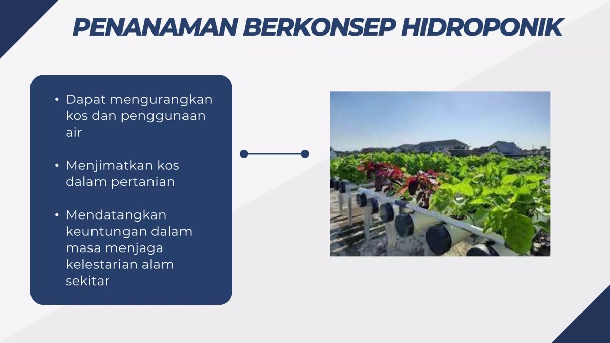 Cadangan Usaha Meningkatkan Pendapatan Penduduk di Pinggir Bandar