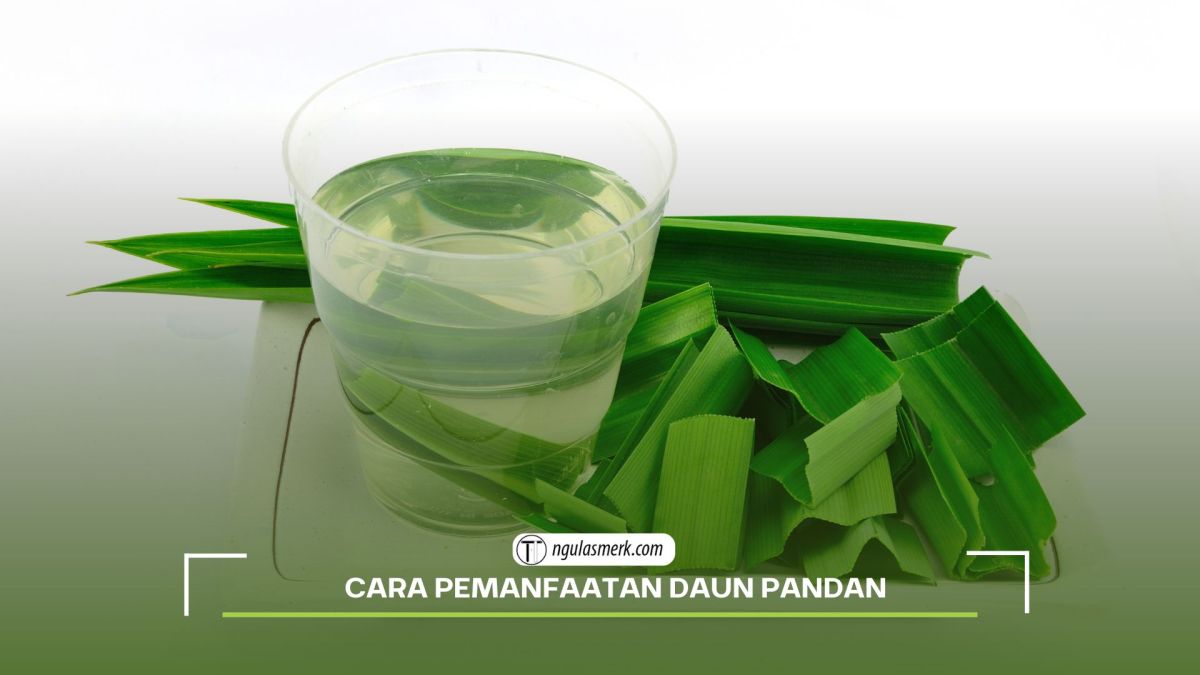 Manfaat Pandan Duri untuk Kesehatan