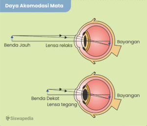 Kekuatan Lensa Kacamata untuk Umron dengan Titik Dekat 50 cm