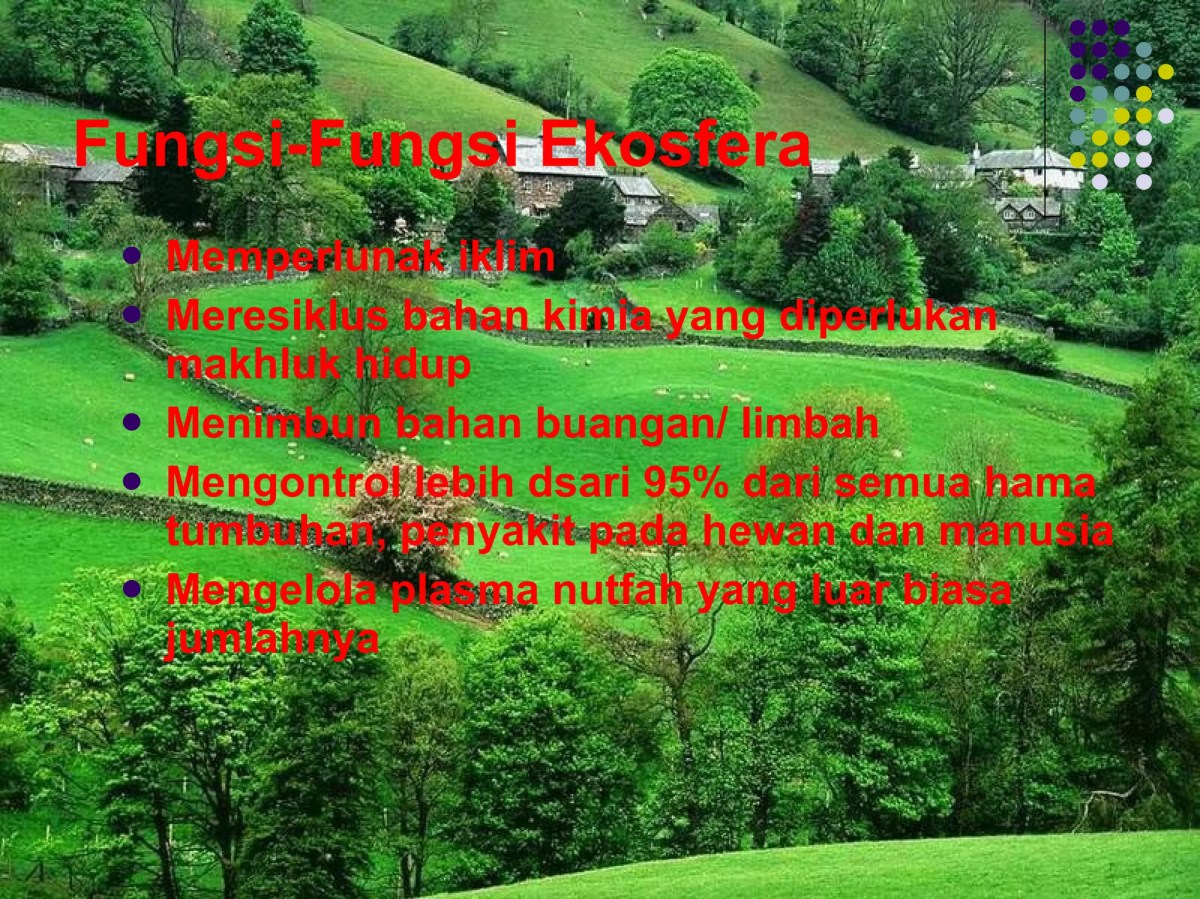 Pemanfaatan Ilmu Ekologi untuk Atasi Permasalahan Manusia dan Lingkungan