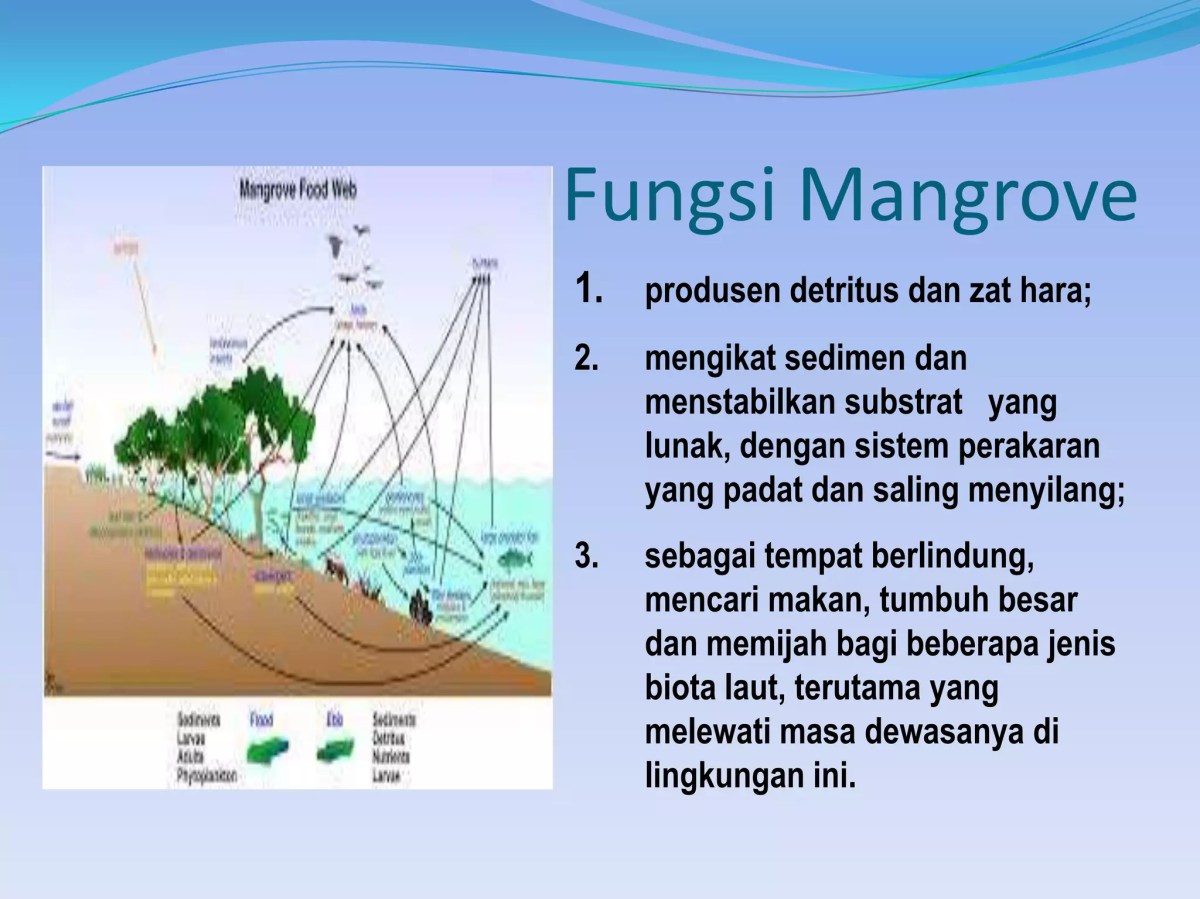 Akumulasi DDT di Ekosistem Perairan pada Tingkatan Makanan