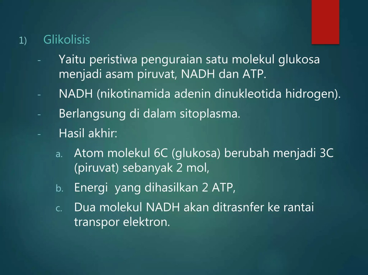 Enzim dan Ion Mg pada Fosforilasi Awal Glikolisis