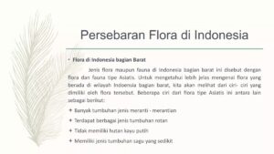 Karakteristik Flora di Indonesia Timur: Meranti, Sagu, Nangka, Rotan