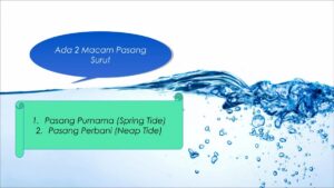 Pengaruh Sistem pada Gerakan Berenang Kuda Laut