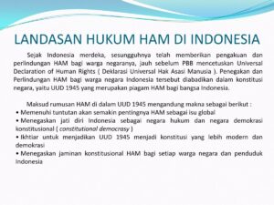 Penamaan Piagam Hak Asasi Manusia PBB